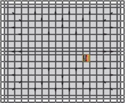 Safeguard Cargo Net - X-large - XSN-200